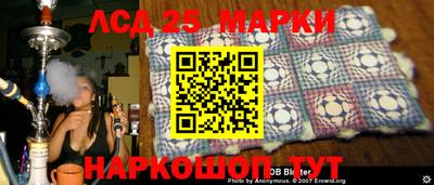 кокс Кандалакша