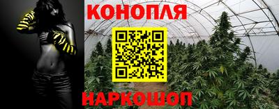 герыч Камышлов
