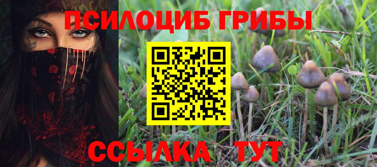 Кумертау  Псилоцибиновые грибы ЛСД  закладки  Галлюциногенные грибы прущие грибы  Вход с VPN 
