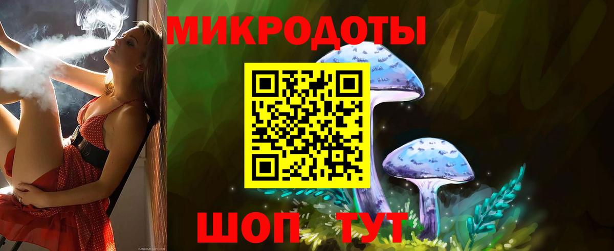 Псилоцибиновые грибы Psilocybe Кумертау
